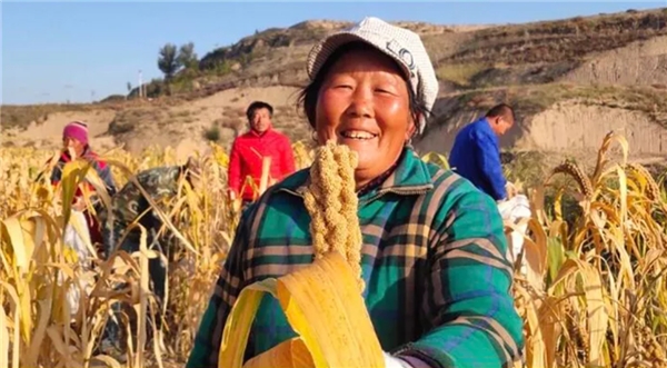 物农网捉牢“订单农业+直播“,打造健康生活方式